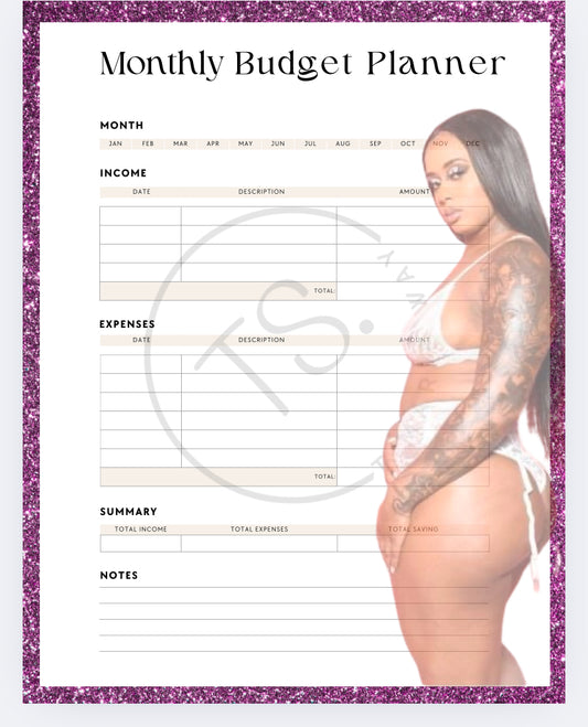 Monthly budget binder